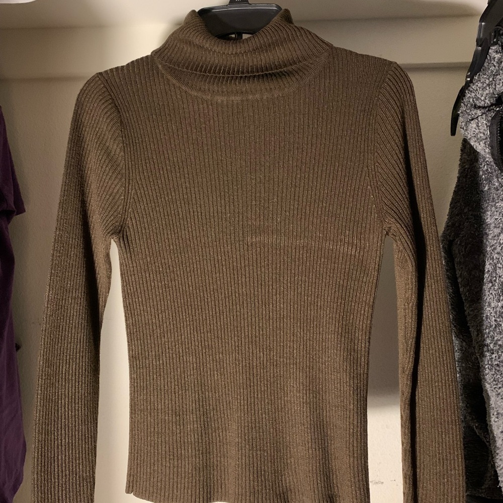 BrownTurtleneck Sweater